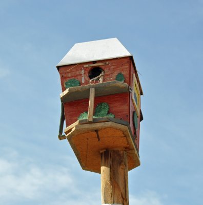bird-house
