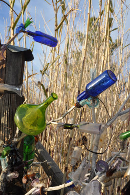 Blue and Green bottles