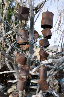 tin can tree