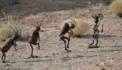 Marching-to-the-drummer