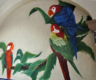 parrots