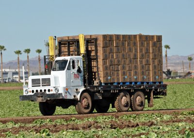 lettuce-truck