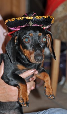g3/25/921525/3/121433553.Poxkyacn.jpg
