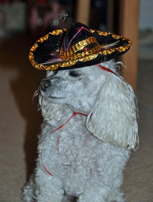 u2 withMexican hat