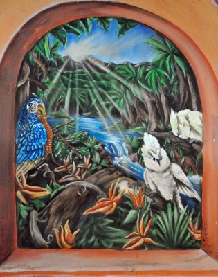 parrot-picture