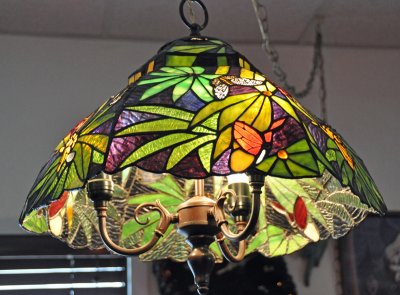Colorful parrot light