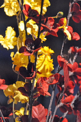 flowers.jpg