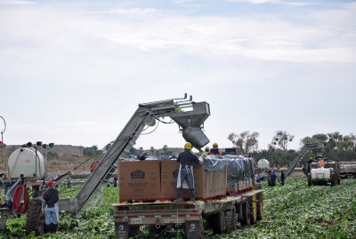 Loaders