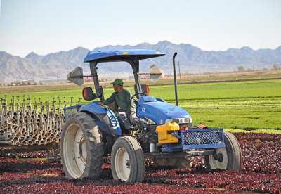 tractor-driver