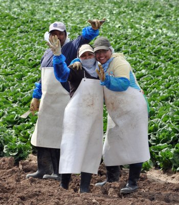 workers