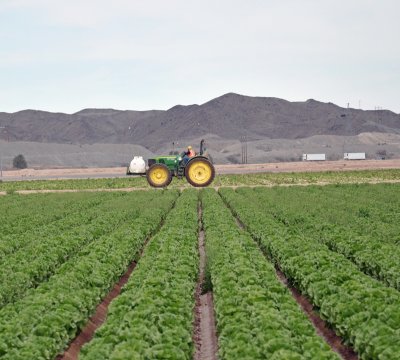 Lettuce Tractor