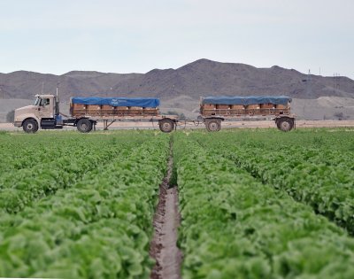 truck going to market