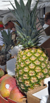 pineapple-and-fruit