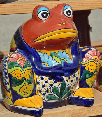 frog
