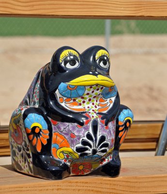 Black Frog
