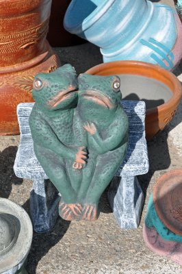 Loving Frogs