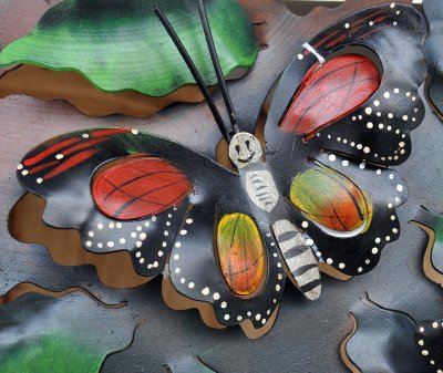butterfly