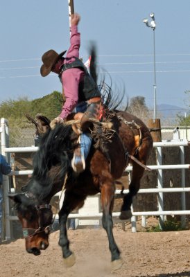 Yuma Rodeo