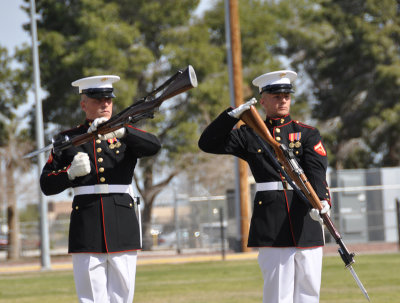 rifles opposite