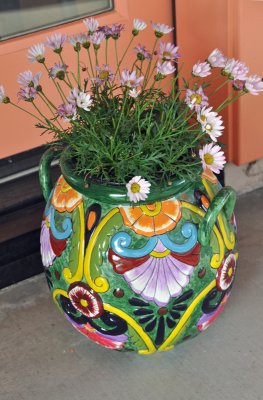 purple flowers in colorful vase