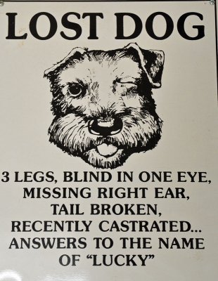 Dog named Lucky