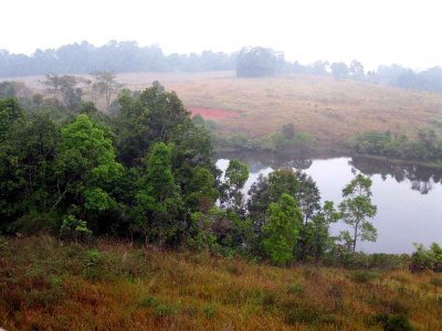 Morning in Khao Yai NP THailand 100131. Stefan Lithner