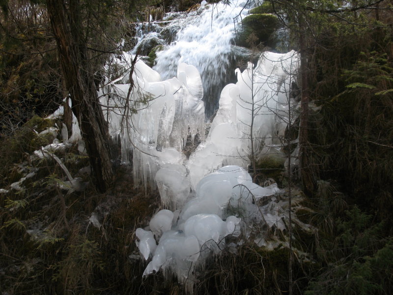 didijiuzhaigou 111.jpg