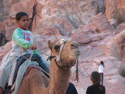 Jordan Wadi Rom