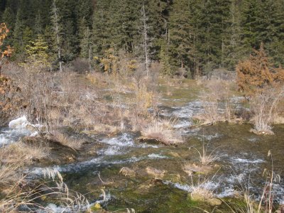 didijiuzhaigou 083.jpg