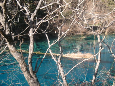 g3/25/945725/3/122008109.zztcAh86.jpg