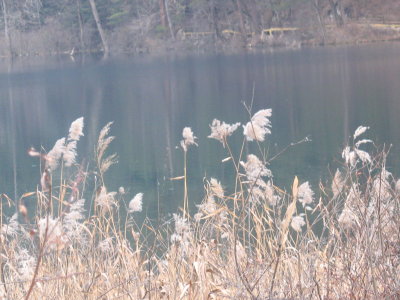didijiuzhaigou 194.jpg