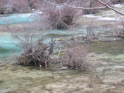 didijiuzhaigou 225.jpg