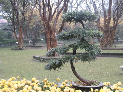 dujiangyan