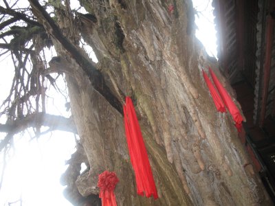 QinQang Shan