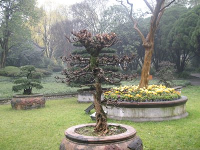 dujiangyan