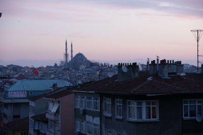 35.jpg