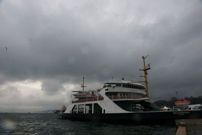 37.jpg