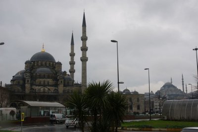 38.jpg