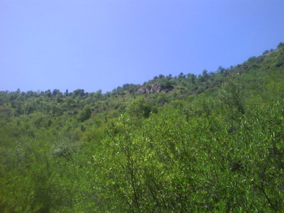 DSC00987.JPG