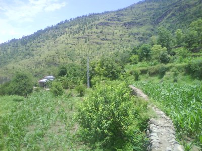Malalbagla.chamankot.JPG