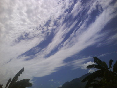 DSC01997.JPG