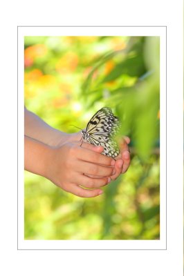 The Environment: Our home. Our responsibilty.