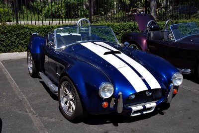 A real Cobra (1965, racing)