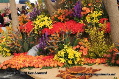 g3/26/12626/3/120740975.tRe8lq3y.jpg