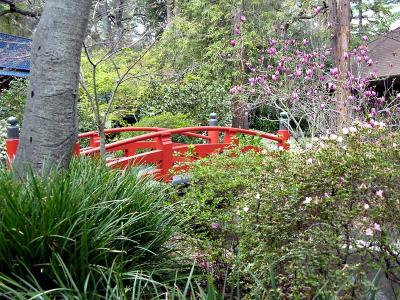 Japanese Gradens at Descanso