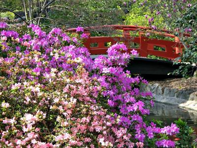 Descanso Japanese Gardens Retouch