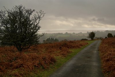 Roads in Dartmoor 08