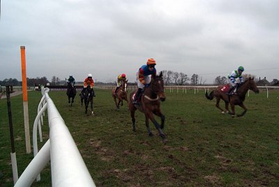 Horses Racing at Folkestone