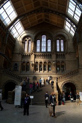 Natural History Museum London Interior 13