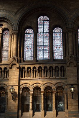 Natural History Museum London Stained Glass Window 02